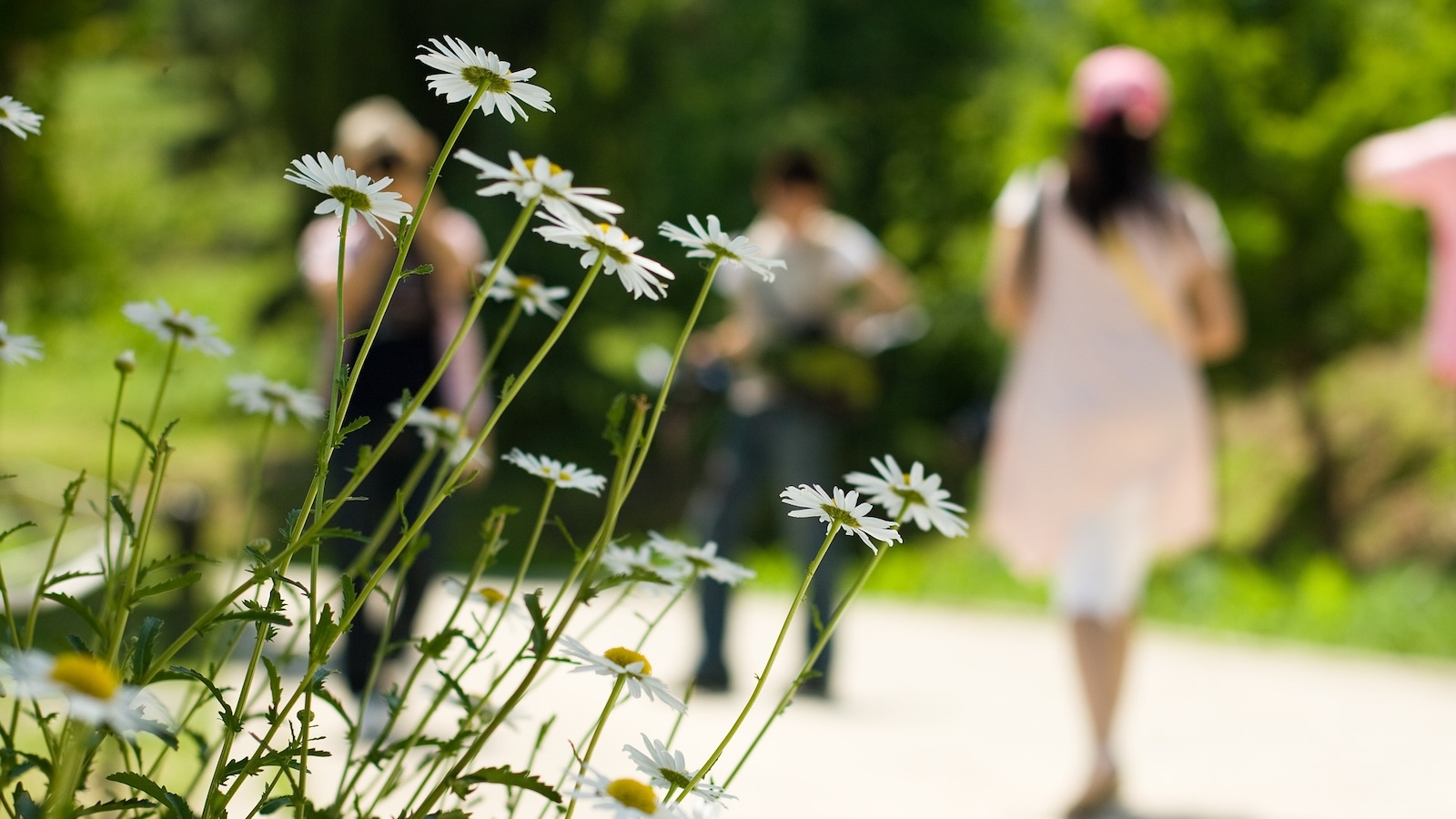 Osterspaziergang in Schwalenberg: Stadtführer nehmen Besucher mit auf eine Zeitreise durch die Altstadt